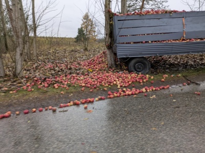 Wypadek podczas transportu jabłek