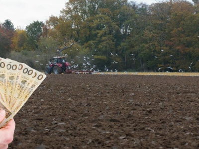 Zaliczki dopłat ARiMR 2025 – rolnicy potwierdzają przelewy