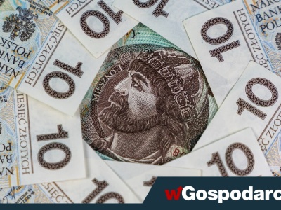 Co drugi dorosły Polak to dłużnik