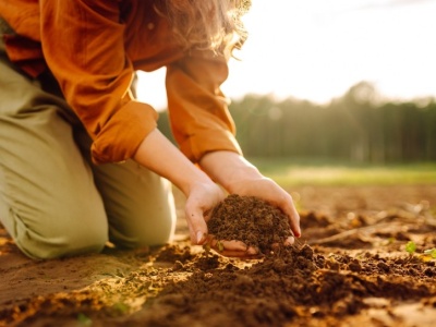 Zamiast wyrzucać, zakop to w ogrodzie. Rośliny będą ci wdzięczne