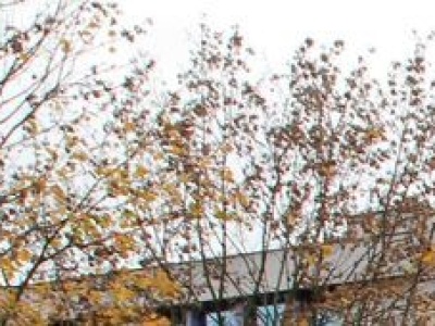 Jakie plany Puław na 2026 rok? Wydatki trzymane w ryzach