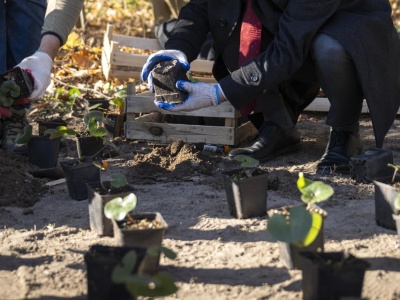 Stolica. Coraz więcej zieleni na Polu Mokotowskim