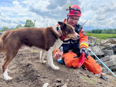 Czworonożny bohater w potrzebie – ludzie ruszyli z pomocą!