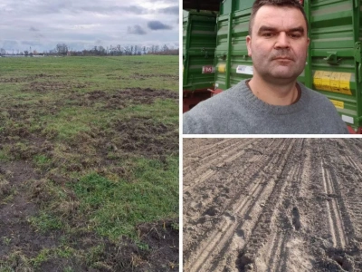 Z 2,5 ha tylko 7 ton kukurydzy. Rolnicy spod Sochaczewa: pilnujemy nocą, a państwo śpi