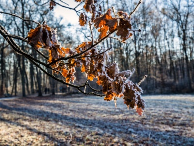 Pogoda na środę | W nocy mroźnie, w dzień zimno, ale z dawką słońca
