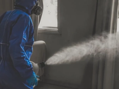 Skuteczna dezynsekcja w mieście