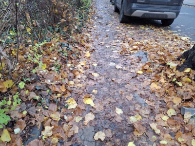 Uwaga na liście! Na osiedlu Kościuszki w Świeciu można się na nich „przejechać