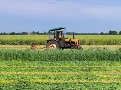 Restrukturyzacja zadłużenia gospodarstw rolnych: jak działa przejmowanie długów przez KOWR?