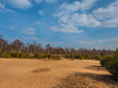 Agrobex z kolejnym kontraktem dla wojska. Zbuduje pod Poznaniem magazyny środków bojowych