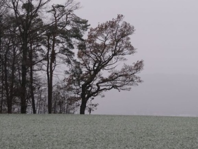 W Arktyce gorąco, a Polsce pogoda wraca na właściwe tory