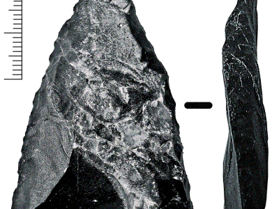 „Chcemy zbadać, kiedy Neandertalczyk mieszkał w okolicach Radomia i Zwolenia”