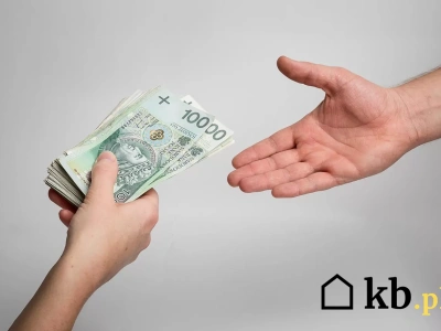 Na pieniądze z Czystego Powietrza czekała 10 miesięcy. 