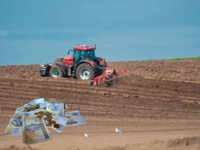 KOWR sprzeda ponad 110 ha ziemi. Gdzie i za ile?