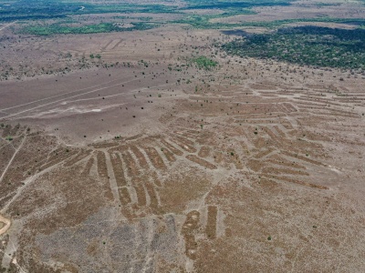 Konstrukcje z Amazonii ukazują zaawansowanie prekolumbijskich społeczności. Były ukryte przez setki lat