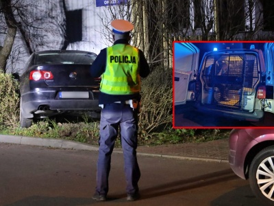 Pijany kierowca o mało nie potrącił kobiety z dzieckiem. Chciał pobić świadków, rzucił się na policjantów