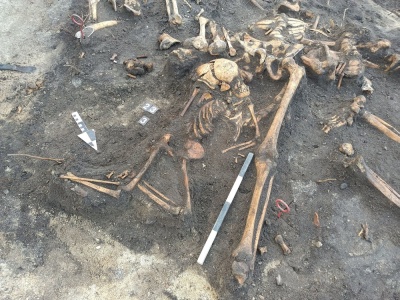 Lubuskie. Archeolodzy odkryli tajemniczy grób. Ciała dorosłych i dzieci wrzucano do jamy w pośpiechu