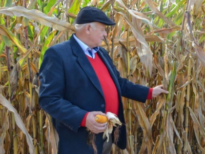 Rolnicy mają dość cenowego rozchwiania. Kontraktacja lekarstwem czy kolejnym ryzykiem?