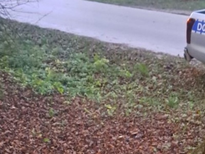 Znalazł martwą sarnę i zabrał ją z drogi. Teraz stanie przed sądem za kradzież