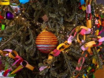 Choinka z lasu. Oto ile kosztuje w nadleśnictwie