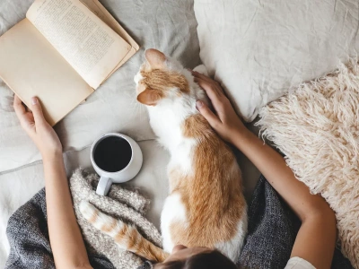 Psychiatrzy zauważają związek między kotami a schizofrenią. Badania nie są jednoznaczne