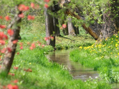 Prawo do zabudowy znika bez ostrzeżenia. Nie liczcie na odszkodowania