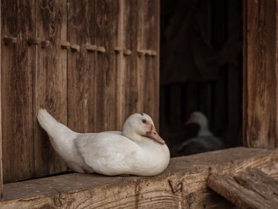 Polacy nie chcą odwiedzać wschodu kraju, bo boją się wojny. Cierpi na tym lokalna turystyka
