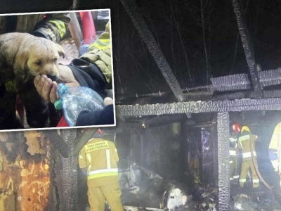 Strażacy uratowali z płomieni przerażonego szczeniaka. To zdjęcie chwyta za serce. Teraz zrobili coś jeszcze bardziej poruszającego