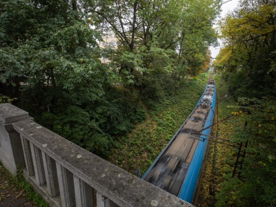 Spór o drzewa przy torach - wycinka jedynym rozwiązaniem?