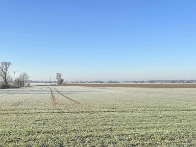 Rekordowe wypłaty dla gospodarstw. Zaliczki już na kontach, pomoc dla Żuław na ostatniej prostej