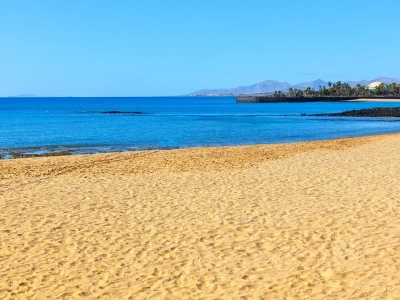 Młody jesiotr wyrzucony na brzeg. Kiedyś był królem wód