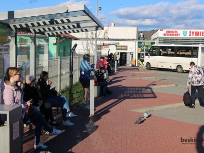 Żywiecczyzna: Autobusy na trasy! Związek zapowiada rewolucję!