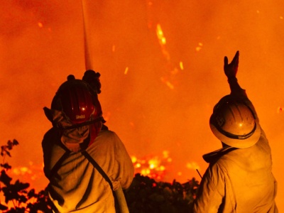 20 tysięcy ton nasion słonecznika spłonęło w wielkim pożarze