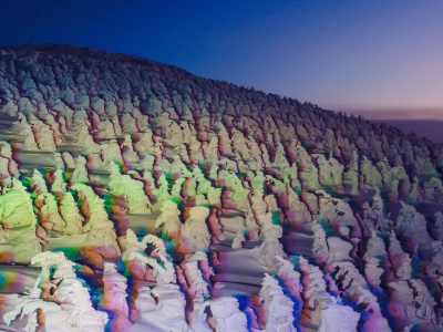 Zimą zamienia się w krainę 