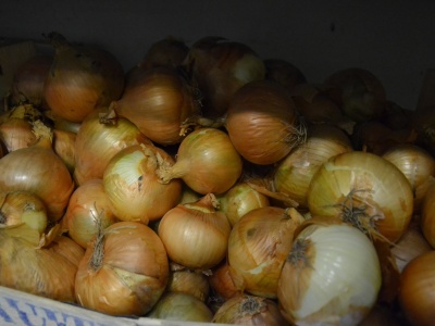 Naturalne sposoby na odporność – warto je wypracować!