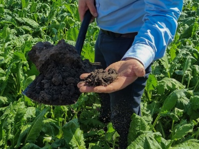 Rolnictwo regeneratywne. Wyniki ekonomiczne i środowiskowe z praktyki