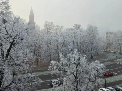 Zima zawitała do Legnicy - galeria zdjęć czytelników