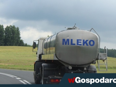 Niemcy kupują na potęgę polskie sery i twarogi