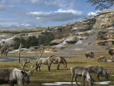 Znaleźli DNA olbrzyma epoki lodowcowej. Było na włóczni myśliwych