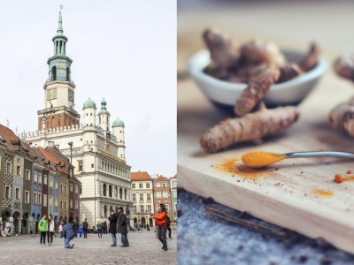 Poznań: naukowcy pracują nad polską odmianą imbiru, który dałoby się uprawiać w suchych rejonach