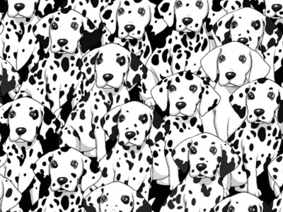 Znajdź innego psa pośród dalmatyńczyków. Najlepszym wystarczy pięć sekund