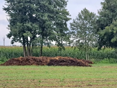 Przechowywanie obornika: co trzeba wiedzieć przed upływem terminu?
