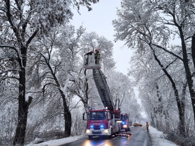Połamane konary drzew i ewakuacja DPS-u – śnieg nie odpuszcza, lawina zgłoszeń