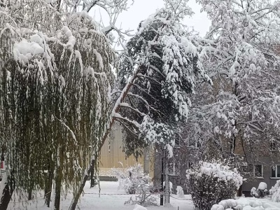 Połamane drzewa, nadmiar śniegu. Mieszkańcy szukają pomocy