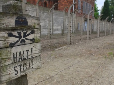 Skandaliczny wpis Yad Vashem o Polsce. Ostre reakcje. 