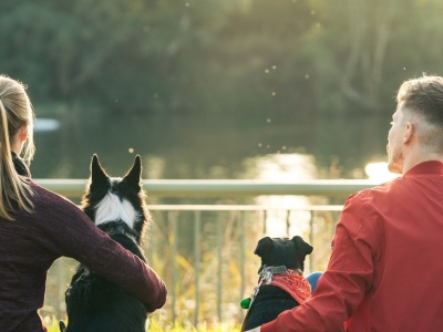 Nowy sposób na znalezienie miłości? Ta aplikacja może zadziwić singli