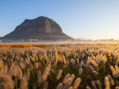 Koreańska wyspa Jeju wśród 25 najlepszych kierunków podróży na rok 2026