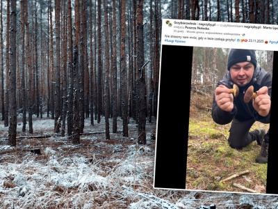 Grzybiarz pokazał nagranie z Puszczy Noteckiej. Internauci przecierali oczy