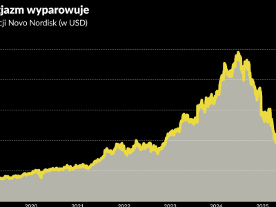 Kac po giełdowej euforii. Co nam mówi spadek kursu Novo Nordisk