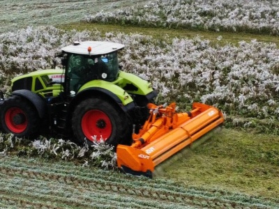 Zlikwidować poplony czy zostawić do lutego?