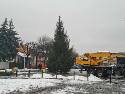 Choinka na Placu Mickiewicza już stoi!